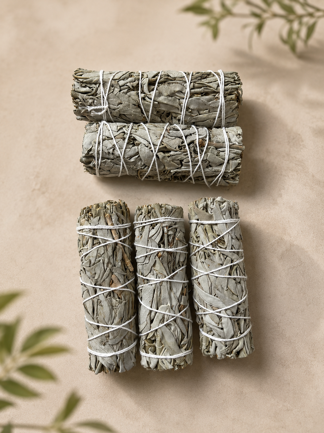 Salvia blanca: para qué sirve y cómo usarla para limpiar tu casa